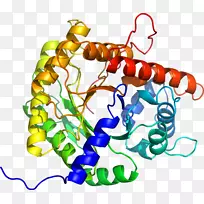 艺术身体珠宝有机体线剪贴画线-空若网 艺术身体珠宝有机体线剪贴画线-空若网