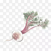 �߲˺��ܲ��;�.�ֻ���ܲ�-������