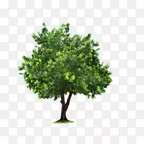 ��-��-������