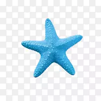 海星图片.蓝色海星创意图像-空若网 海星图片.蓝色海星创意图像-空若网