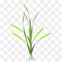 �ݼ�����-��-������