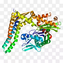 ���������л����߼�������-������