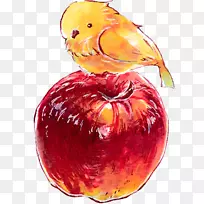 钻石魔芋苹果鸟安卓-苹果-空若网 钻石魔芋苹果鸟安卓-苹果-空若网