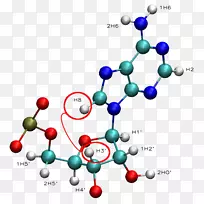 化学圣诞饰品-圣诞饰品-空若网 化学圣诞饰品-圣诞饰品-空若网