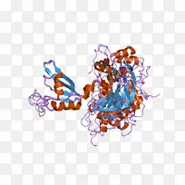 图形设计字体设计-空若网 图形设计字体设计-空若网