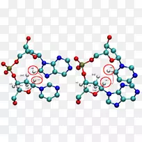 线点体首饰剪贴画.线-空若网 线点体首饰剪贴画.线-空若网