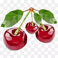 樱桃几何颜色-樱桃花叶-空若网 樱桃几何颜色-樱桃花叶-空若网