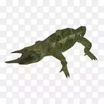 鳄鱼陆生动物鳄鱼-空若网 鳄鱼陆生动物鳄鱼-空若网