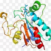 人体首饰有机体线剪贴画线-空若网 人体首饰有机体线剪贴画线-空若网