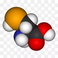 硒半胱氨酸氨基酸硒蛋白硒-空若网 硒半胱氨酸氨基酸硒蛋白硒-空若网