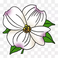 弗吉尼亚山茱萸插花艺术-空若网 弗吉尼亚山茱萸插花艺术-空若网