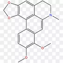 ��ṹ��ѧ�����������-��ѧ-������