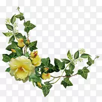 �������-������