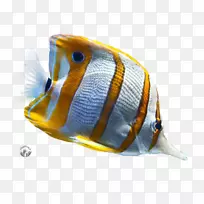 桌面壁纸高清电视宽屏1080 p-android-空若网 桌面壁纸高清电视宽屏1080 p-android-空若网