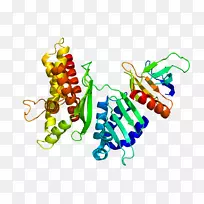 人体珠宝水果剪贴画.珠宝-空若网 人体珠宝水果剪贴画.珠宝-空若网