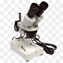 ��΢��-��΢��-������