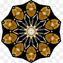 计算机图标ecinidea对称图案-空若网 计算机图标ecinidea对称图案-空若网