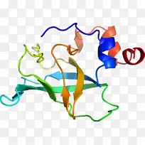 线点生物剪贴画线-空若网 线点生物剪贴画线-空若网