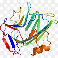 �ߵ������������-������