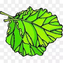 水果叶植物动画剪辑艺术-卷心菜叶-空若网 水果叶植物动画剪辑艺术-卷心菜叶-空若网