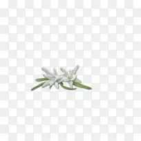 珠宝首饰-空若网 珠宝首饰-空若网