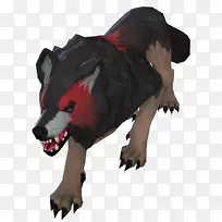 熊狗,犬科,鼻子,-熊-空若网 熊狗,犬科,鼻子,-熊-空若网