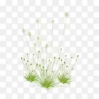 下载google图片草图标-绿草-空若网 下载google图片草图标-绿草-空若网