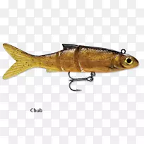 ���ӳ��ն������Ϣ-������