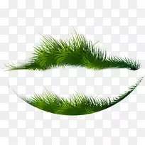 绿色下载-绿草-空若网 绿色下载-绿草-空若网