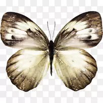 �Ͳ˻�������ɫ������ɫ���������Ͱ�ɫ����-��������-������