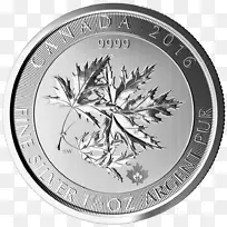 银币加拿大金枫叶币-空若网 银币加拿大金枫叶币-空若网