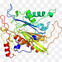 �ߵ������������-������