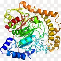 人体首饰有机体线剪贴画线-空若网 人体首饰有机体线剪贴画线-空若网