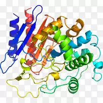 线点生物剪贴画线-空若网 线点生物剪贴画线-空若网