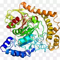 人体首饰有机体线剪贴画线-空若网 人体首饰有机体线剪贴画线-空若网