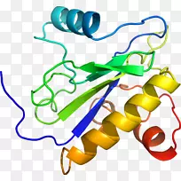 �ߵ������������-������