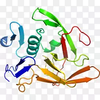 �ߵ������-��-������