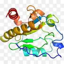 ��װ��Ʒʱ�м�����ϵ��-������