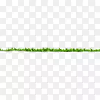 �̲�-������