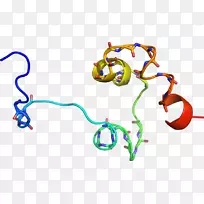 线点体饰品有机体剪贴画线-空若网 线点体饰品有机体剪贴画线-空若网