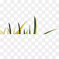 �̲�-������