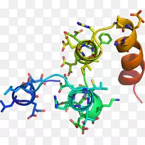 人体首饰有机体线剪贴画线-空若网 人体首饰有机体线剪贴画线-空若网