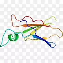 �ߵ������-��-������