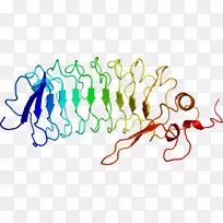 �ߵ������������-������