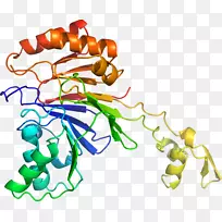 线点体饰品有机体剪贴画线-空若网 线点体饰品有机体剪贴画线-空若网