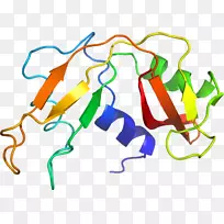 线点生物剪贴画线-空若网 线点生物剪贴画线-空若网