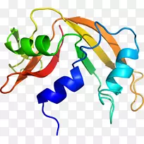 �ߵ������������-������