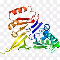 生物线动物剪贴画线-空若网 生物线动物剪贴画线-空若网
