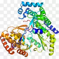 艺术身体珠宝有机体线剪贴画线-空若网 艺术身体珠宝有机体线剪贴画线-空若网