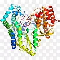 艺术身体珠宝有机体剪贴艺术珠宝首饰-空若网 艺术身体珠宝有机体剪贴艺术珠宝首饰-空若网
